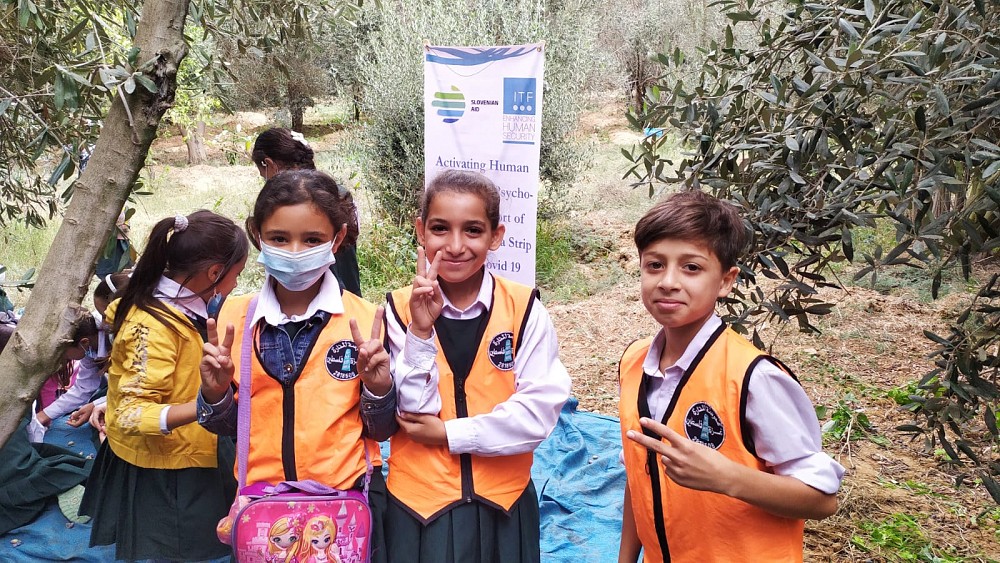 Gaza's youth volunteering at the local olive grove.