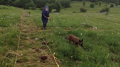 ITF’s Continued Commitment to a Mine-Free Bosnia and Herzegovina